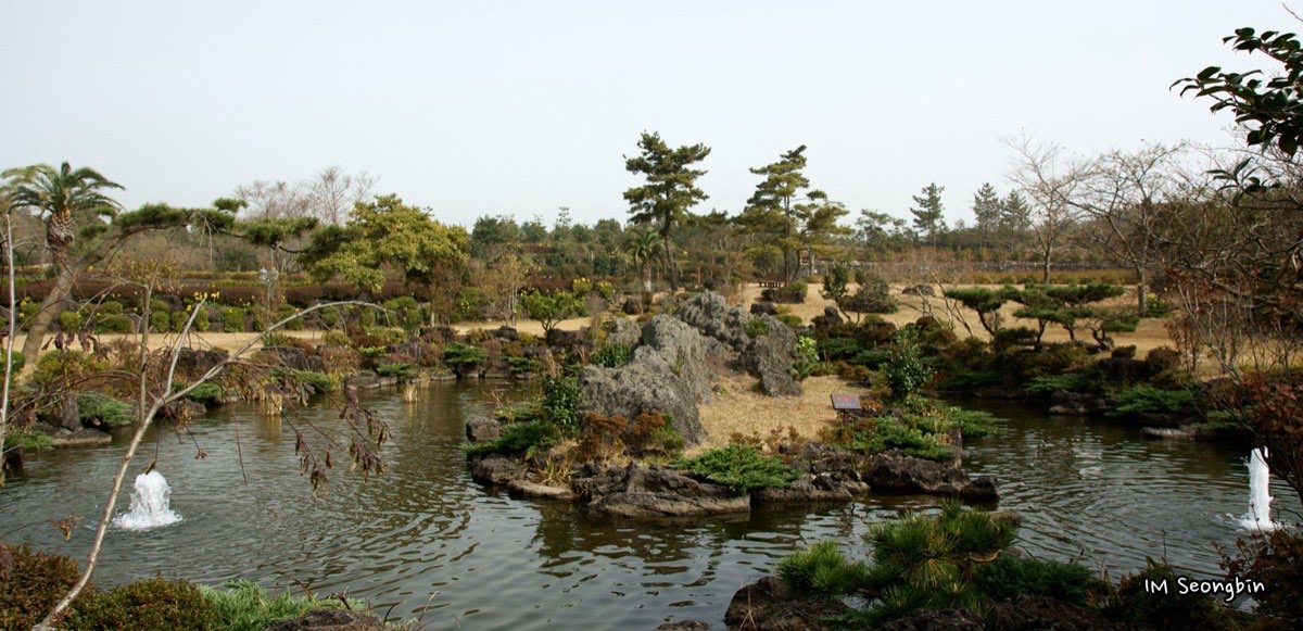 Camellia Hill
