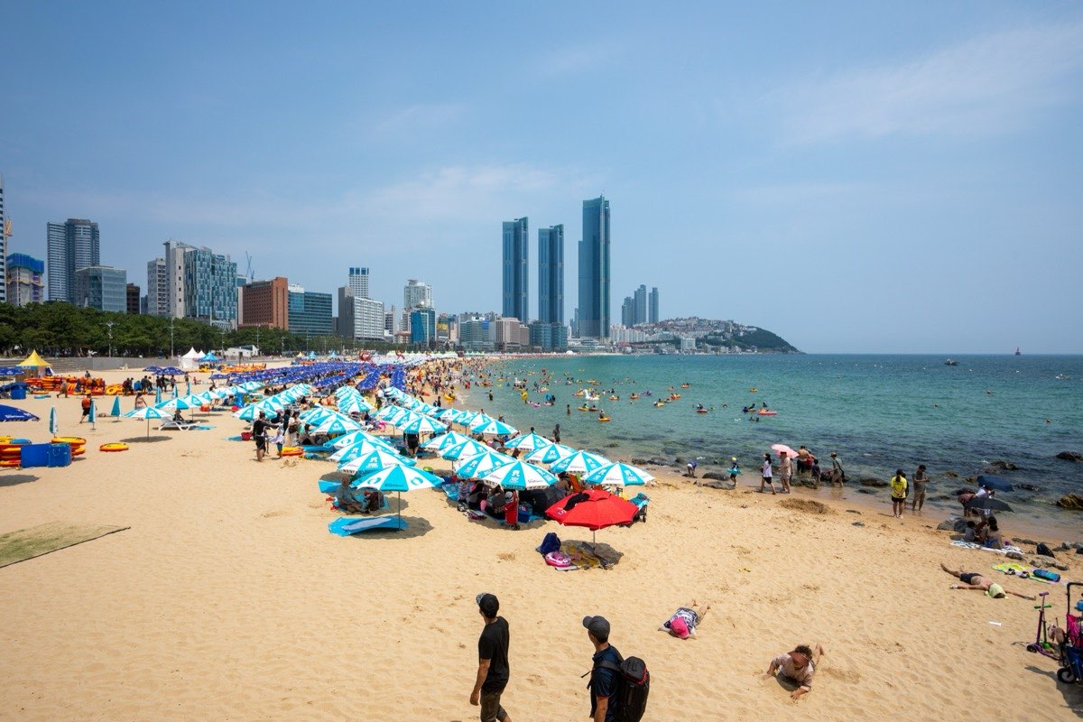 Haeundae Beach in summer with beach umbrellas